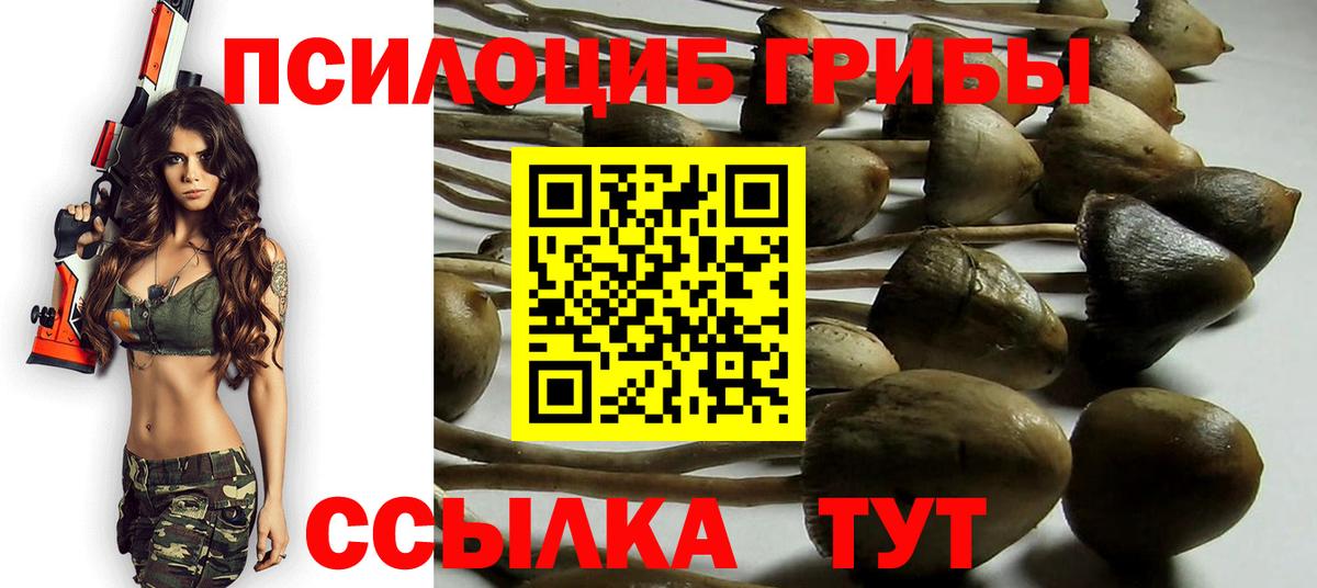 Галлюциногенные грибы MAGIC MUSHROOMS Севастополь